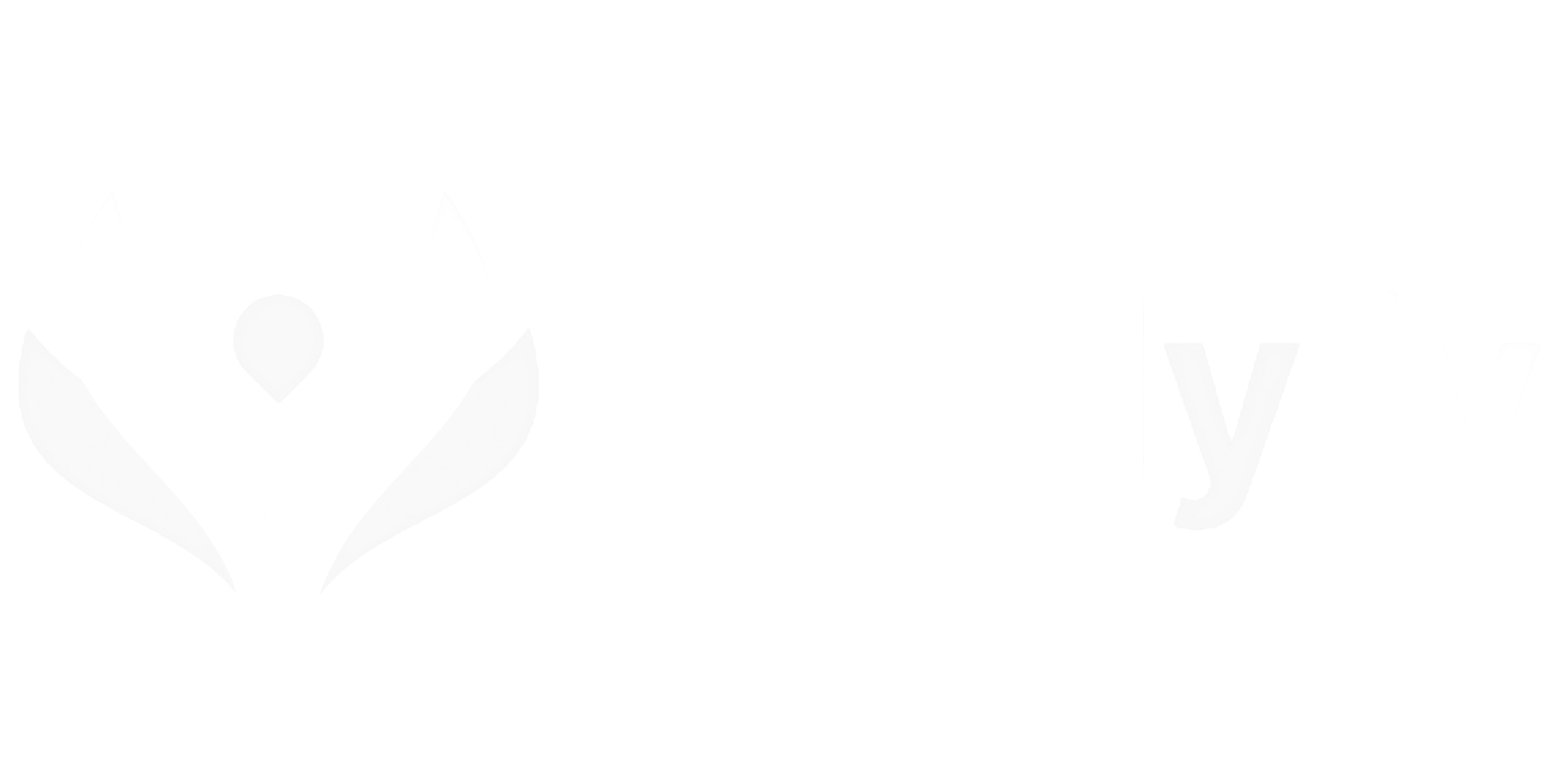 Wellyfy